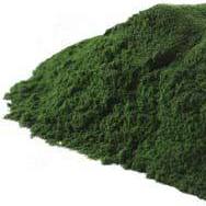 Chlorella Powder-Gourmet-in2ition mercantile