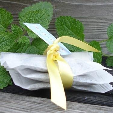 Fresh Mint Tea Soak-Soak-in2ition mercantile